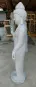 morepic-3